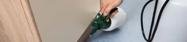 Bed bug exterminator treating baseboards and cracks with targeted spray in Chula Vista, CA