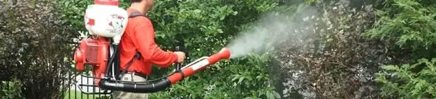 Mosquito control technician fogging shrubs and landscaping for mosquito treatment in Chula Vista, CA