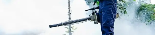 Pest control technician fogging an outdoor area for insect control in Chula Vista, CA
