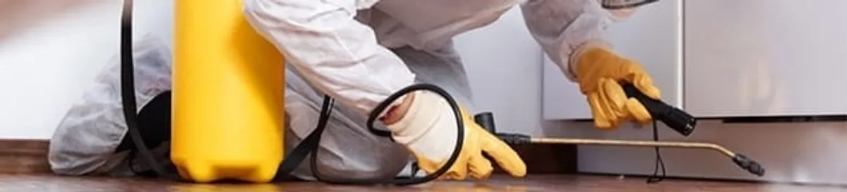 Roach exterminator treating cracks and crevices along kitchen baseboards in Chula Vista, CA