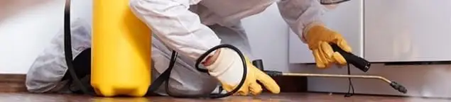 Roach exterminator treating cracks and crevices along kitchen baseboards in Chula Vista, CA
