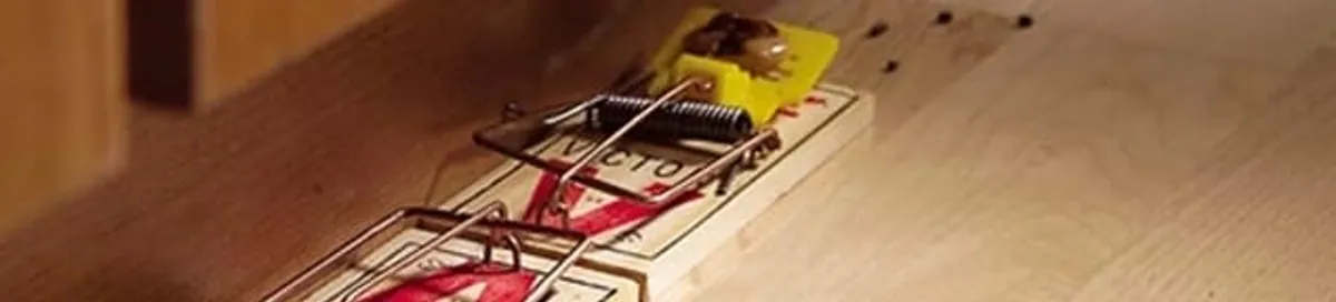 Rodent trap set indoors for rodent control and prevention in Chula Vista, CA